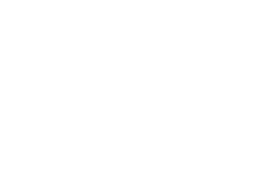 Isotipo blanco de NoaTechSolutions